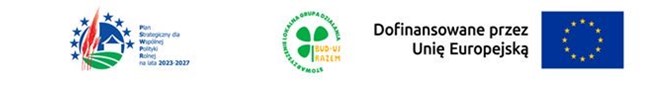 Zrzut ekranu 2026-06-09 125728