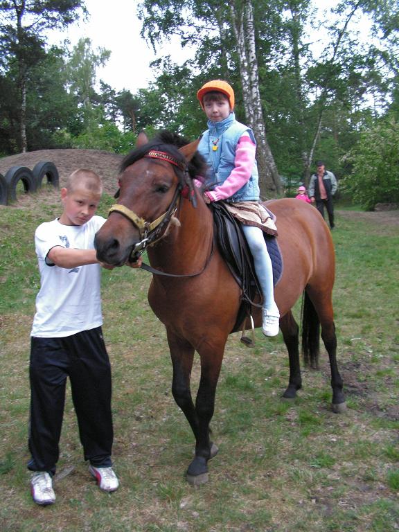 przejadki_konne
