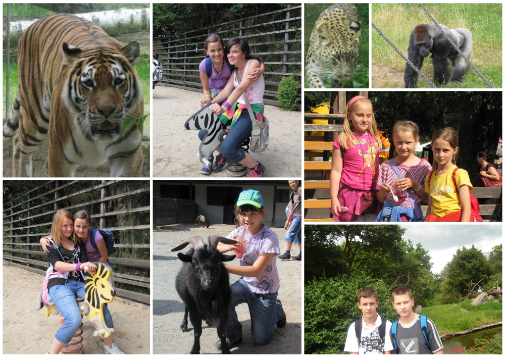 ZOO_safari_w_Dvr_Krlov_nad_Labem