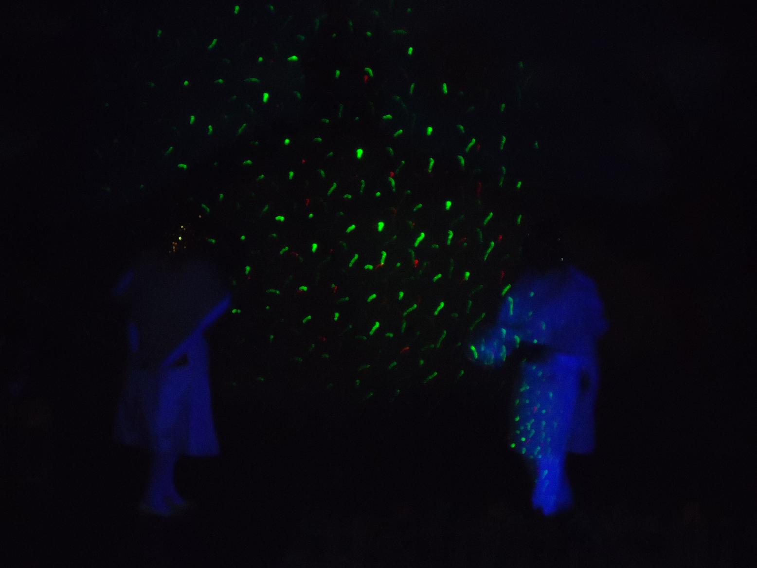 DSC02329